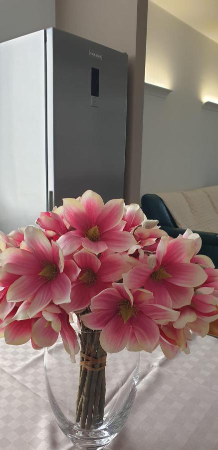 Appartamento Rosy ペスキエーラ・デル・ガルダ エクステリア 写真